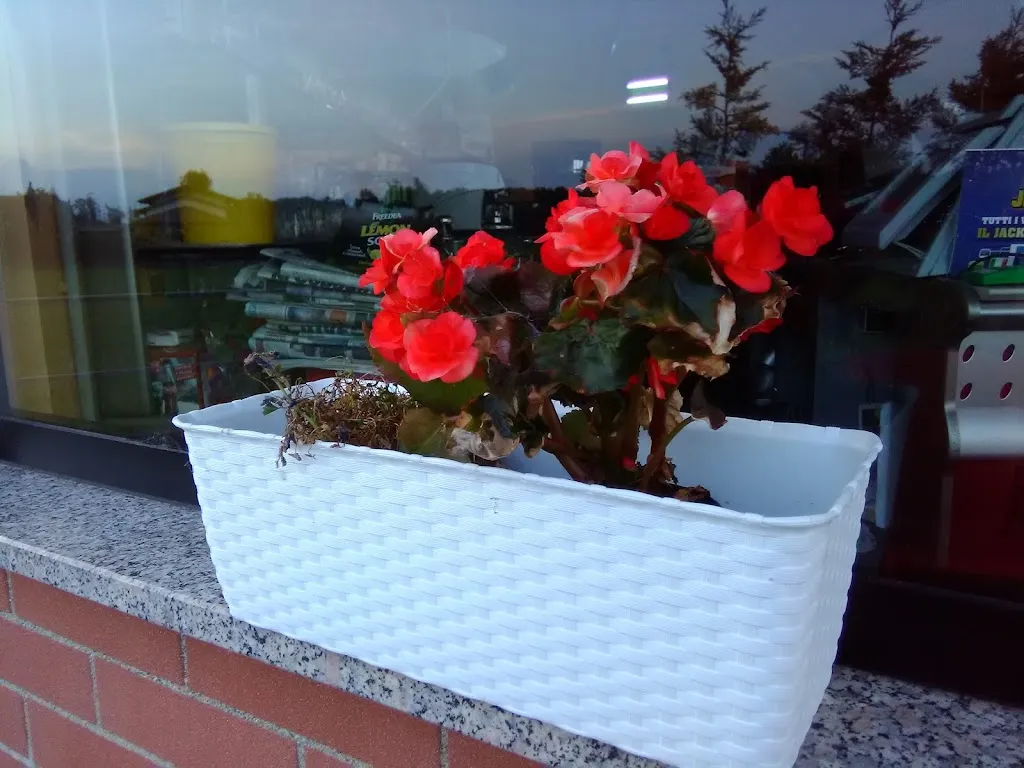 Portugal On The Road_Ozegna_slider_image_3