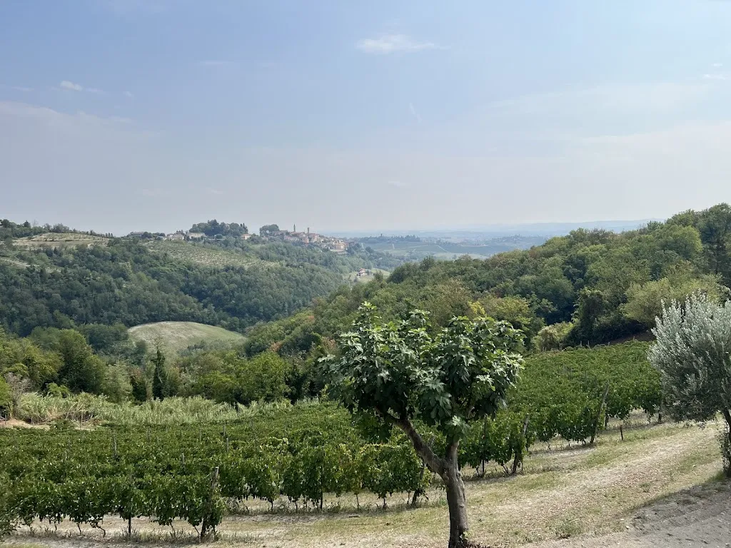 Saverio Guzzo_Cascina Imarisia_Ozzano Monferrato_review