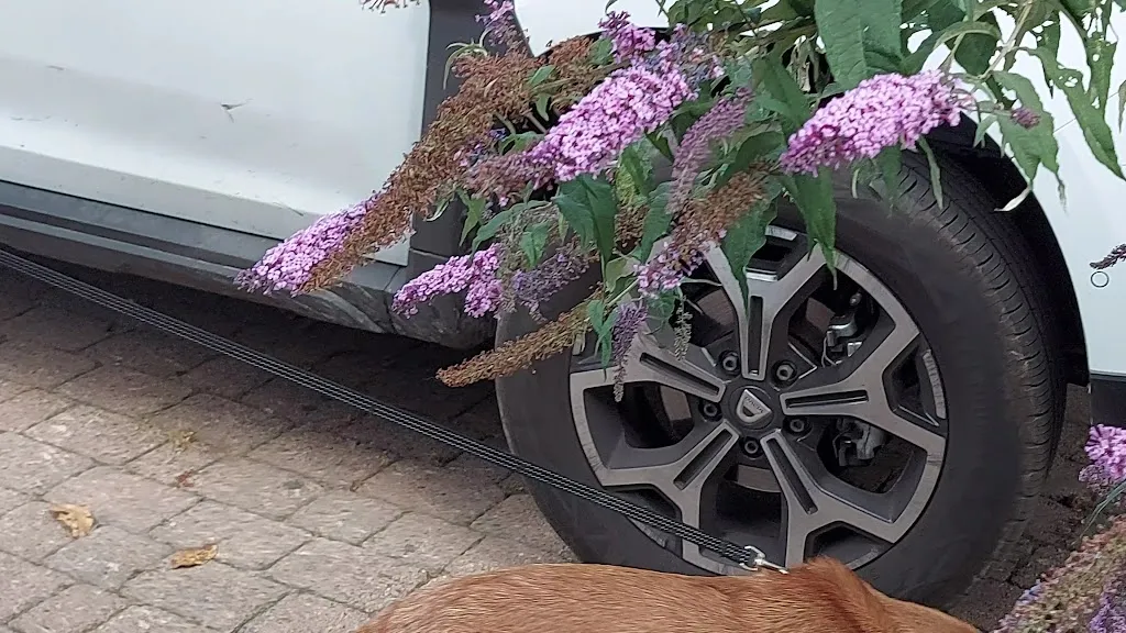 Agriturismo I Monti_Pamparato_slider_image_2