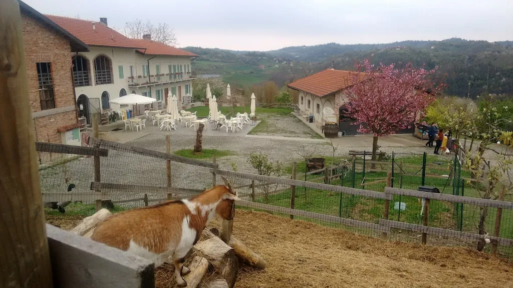 Julian Mortel_Ca'Mariuccia Agriturismo biologico_Passerano Marmorito_review