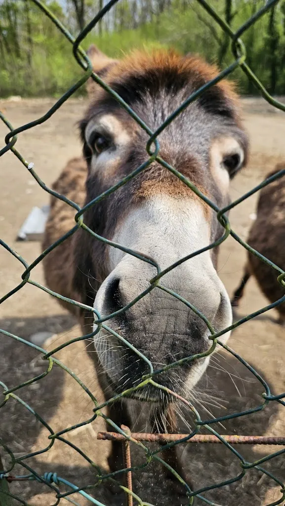 E tu dove mangi ?_Farm Molino Sabbione_Paruzzaro_review