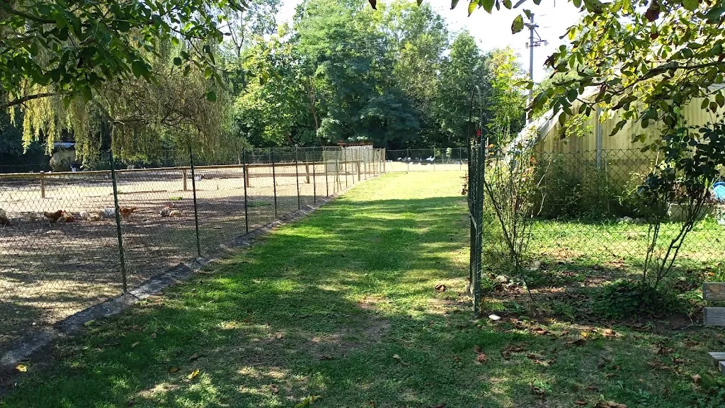 Ultimate Knife_Farm Molino Sabbione_Paruzzaro_review