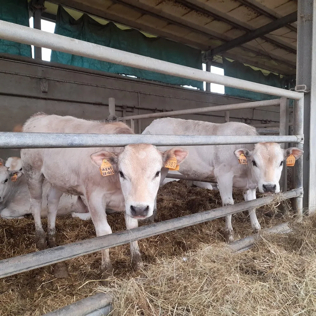 Farm Molino Sabbione_Paruzzaro_slider_image_2