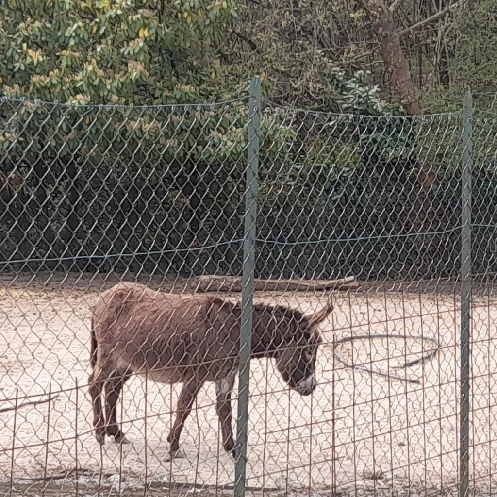 Farm Molino Sabbione_Paruzzaro_slider_image_3