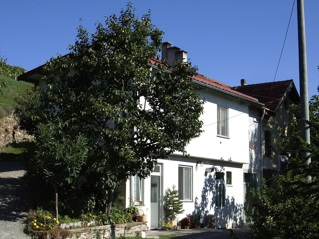 Ortosano_Ovada_slider_image_1