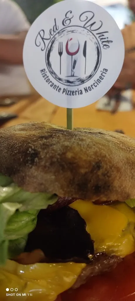 Menu_Red & White di Coccioli Santo Antonio_Erchie_image_5