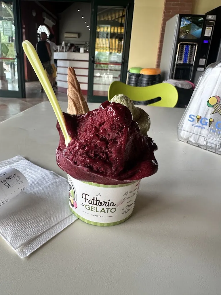 Mike Healy_La Fattoria del Gelato_Pianezza_review