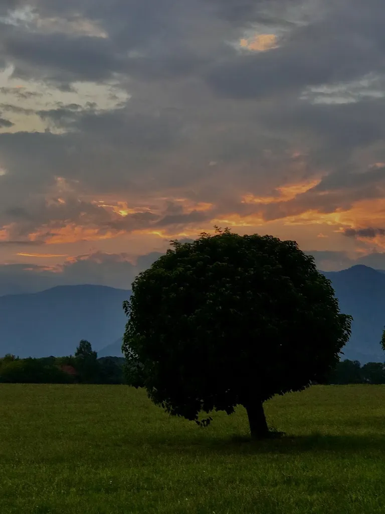 Estelle Rachél_La Fattoria del Gelato_Pianezza_review