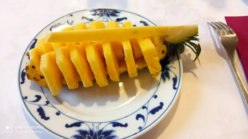 Menu_Ristorante Pizzeria Cinese XingWang_Piossasco_image_7