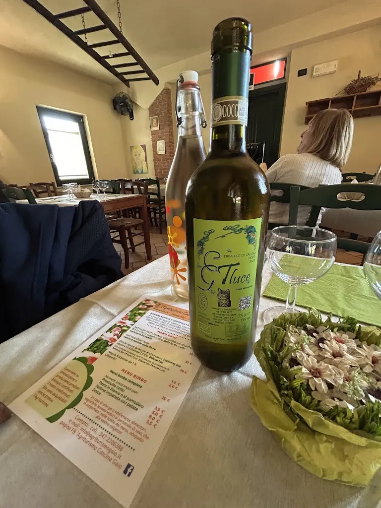 Menu_Agriturismo Cascina Gaio_Piverone_image_9