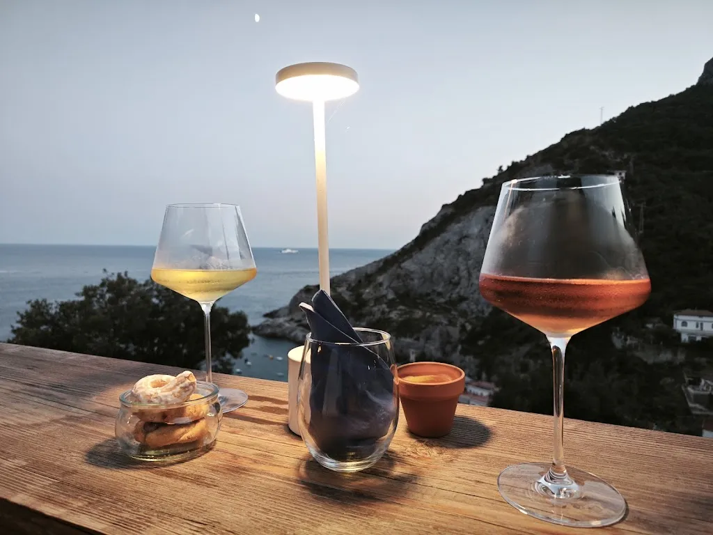 Davide Andrea Ferrigno_CRIA_Erchie_review