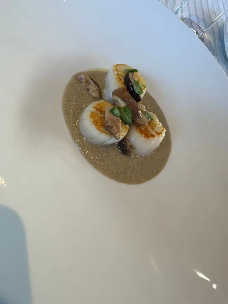 Alessandra Gamba_QB_Ponderano_review