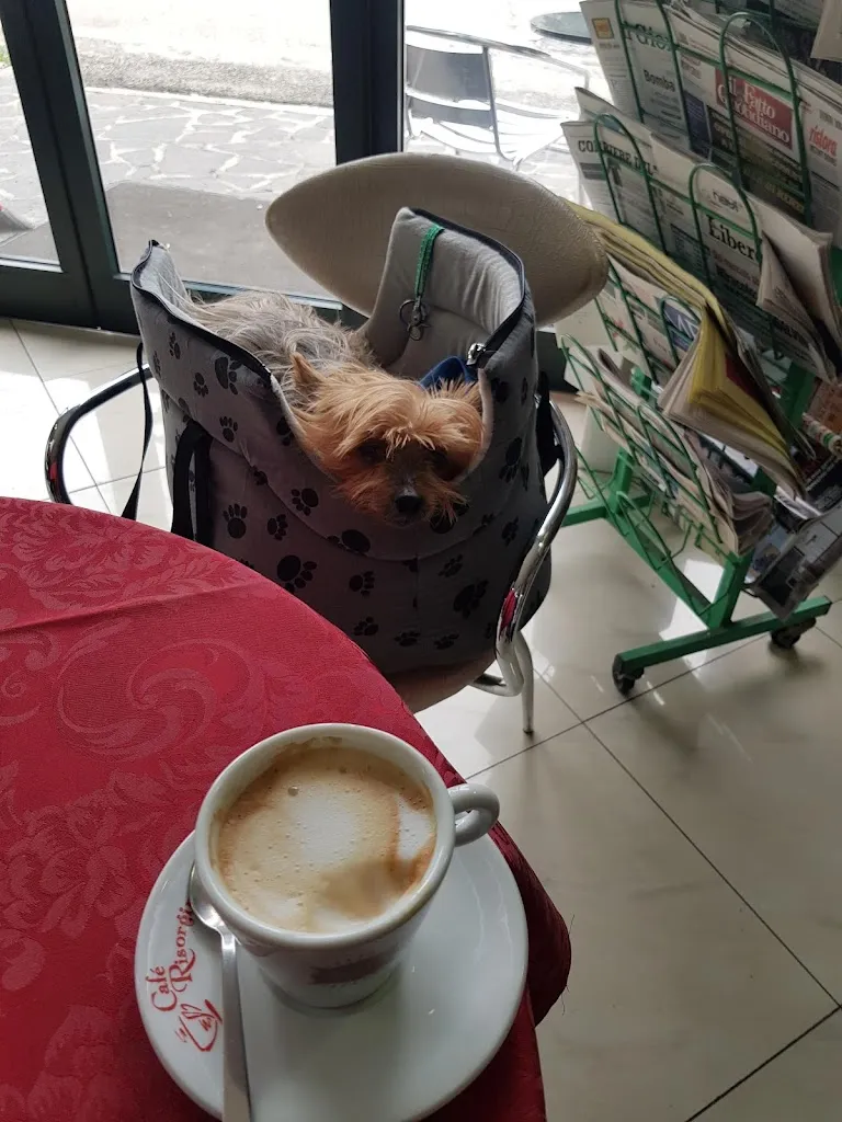 Menu_Bar Risorgimento_Casoli_immagine_5