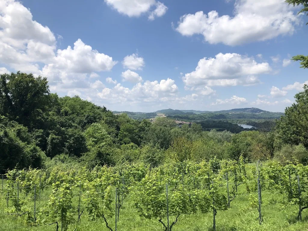 Luigi Cascardo_Farmhouse Cascina Smeralda_Pontestura_recensione