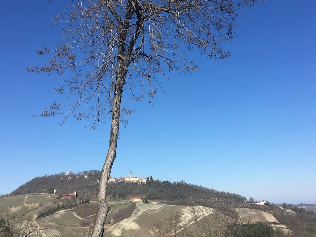 Sabrina_Ristorante Salabue_Ponzano Monferrato_review