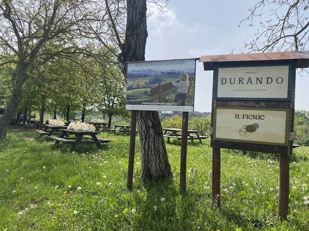 Alex online_Area Attrezzata Azienda Agricola F.lli Durando_Portacomaro_review