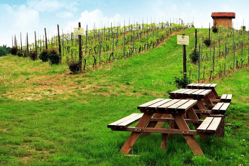 Area Attrezzata Azienda Agricola F.lli Durando_Portacomaro_slider_image_3