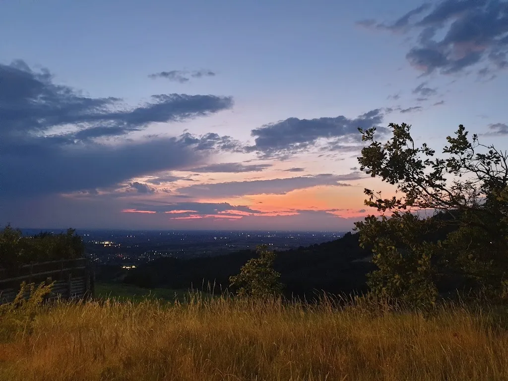 Roberto Pinetti_Allevamento B&B_Pozzol Groppo_review