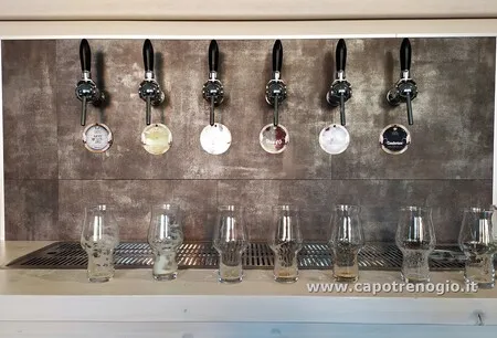 Birrificio Un Terzo restaurant in Pralungo