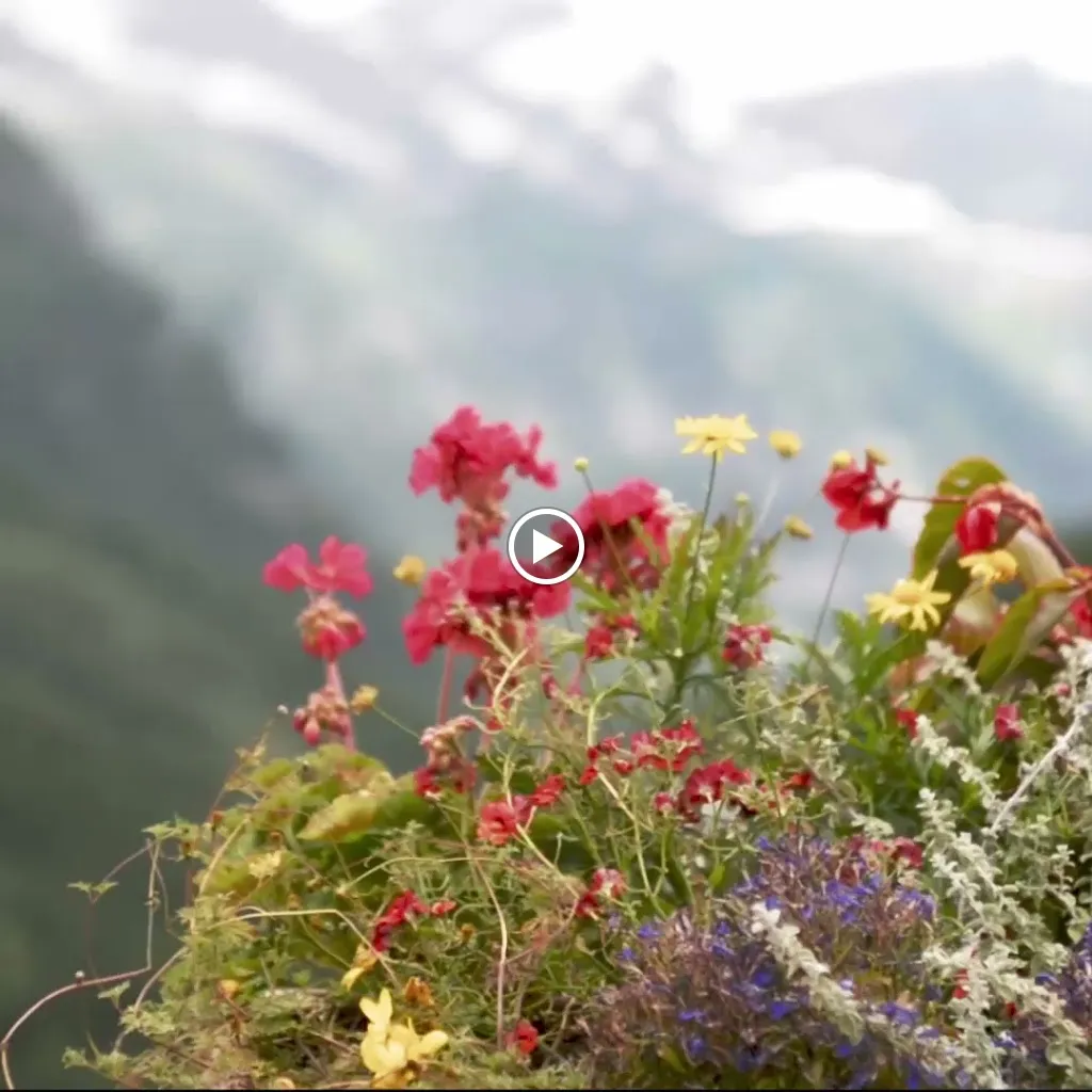 il Belotte - ristorante alpino_Pragelato-Ruà_slider_image_2