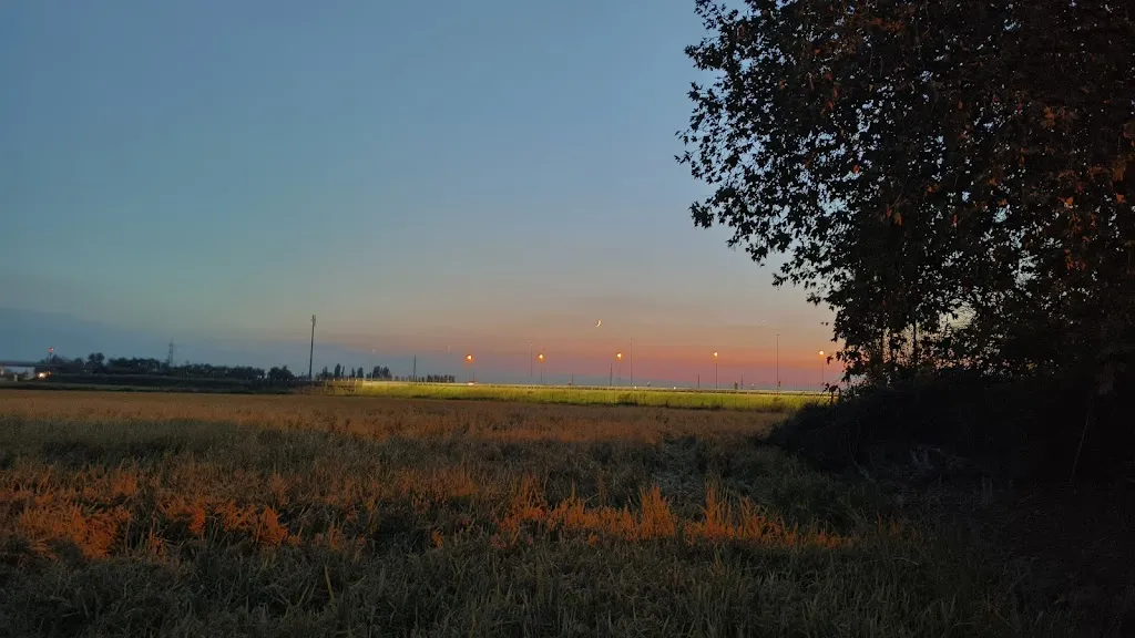 GEORGE V .J_Sarni Sesia Est_Prarolo_recensione