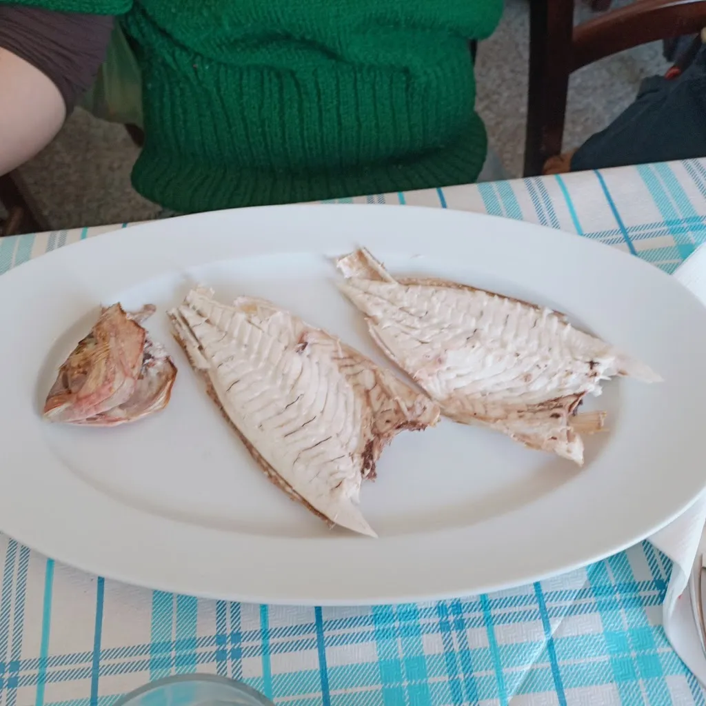 Menu_Anime Sante_Depressa_image_8