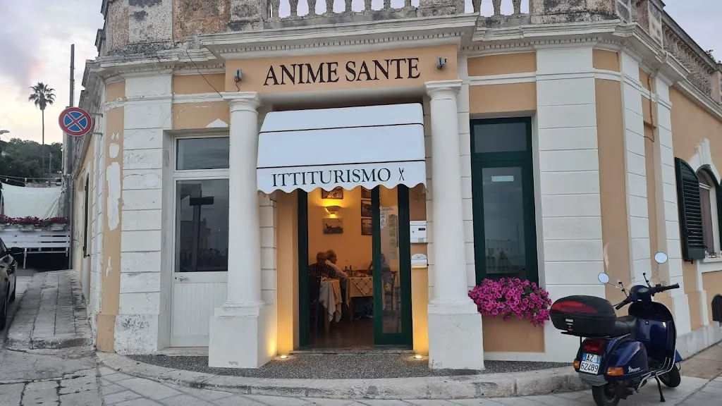Anime Sante restaurant in Depressa