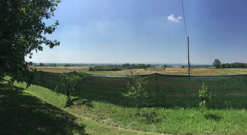 Agriturismo La Giudea restaurant in Quargnento