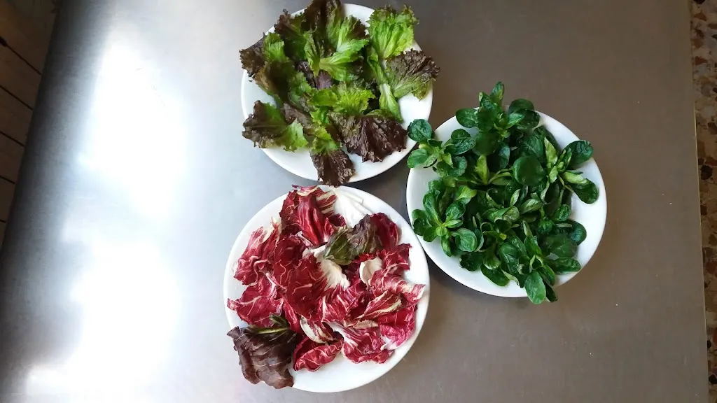 Menu_RISTORANTE BAR IL PONTE_Quassolo_image_1