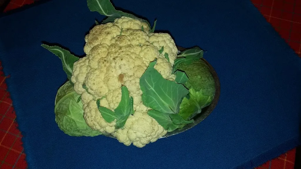 Menu_RISTORANTE BAR IL PONTE_Quassolo_image_8