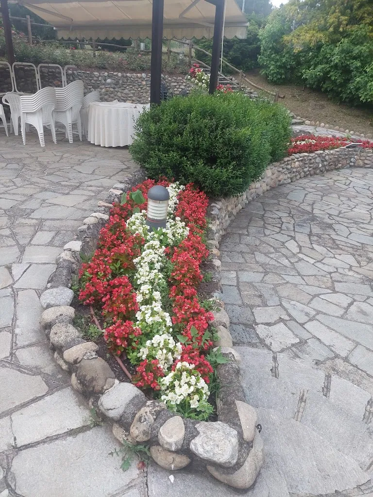 FRANKIE RIJKAARD_Living Garden Eventi_Quaregna_review