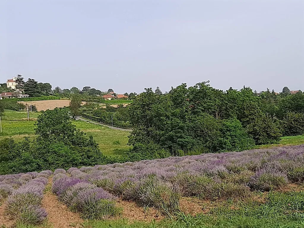 Revigliasco_Revigliasco_slider_image_3