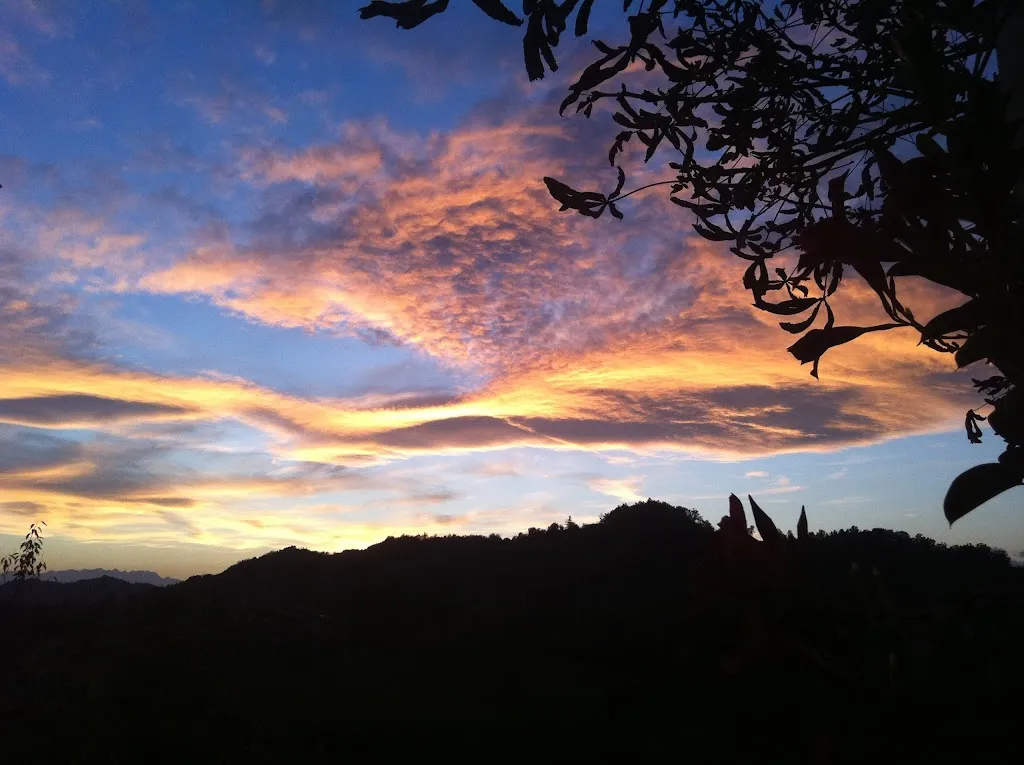 Società Cooperativa Agricola Rivalba_Rivalba_slider_image_3