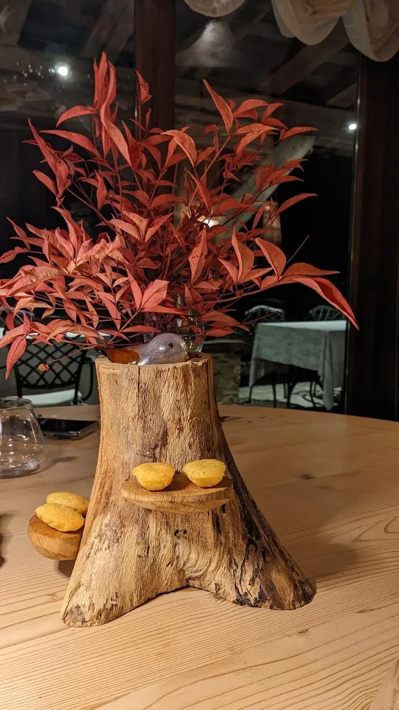 Johnathan Kott_Euthalia_Roburent_review