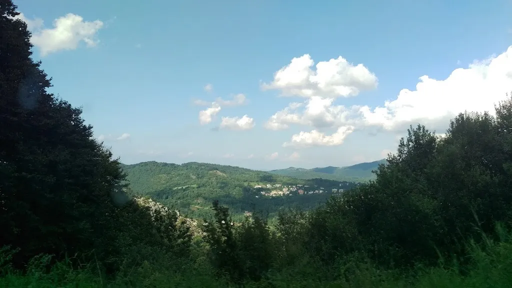 Ristorante La Pineta_Roburent_slider_image_2