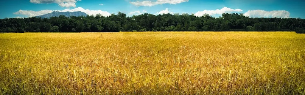 Società Agricola AnimA s.s._Roccasparvera_slider_image_3