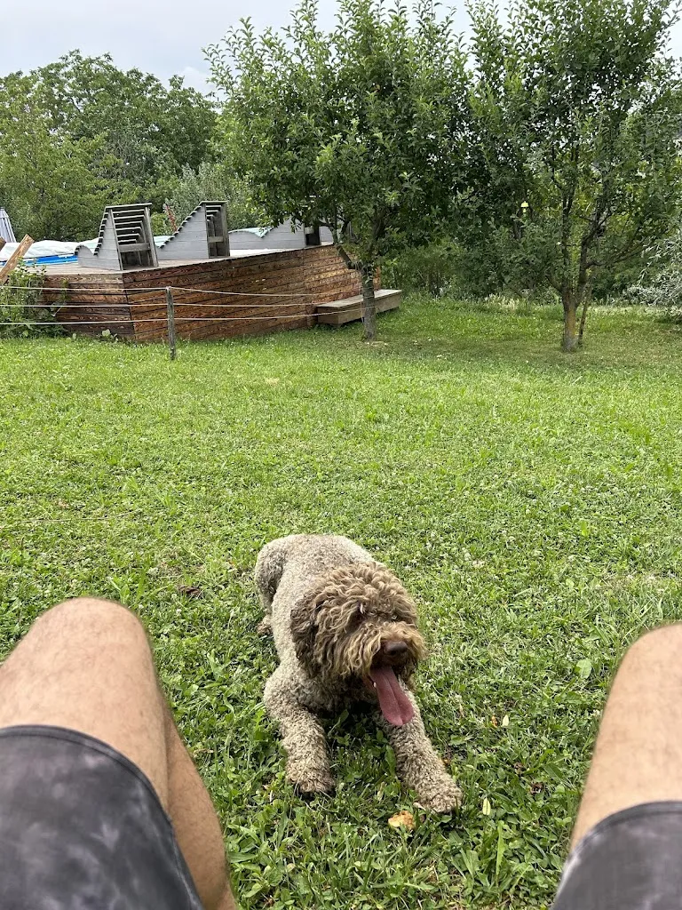 Ander Son_Agriturismo borghetto la radice_Roccaverano_review