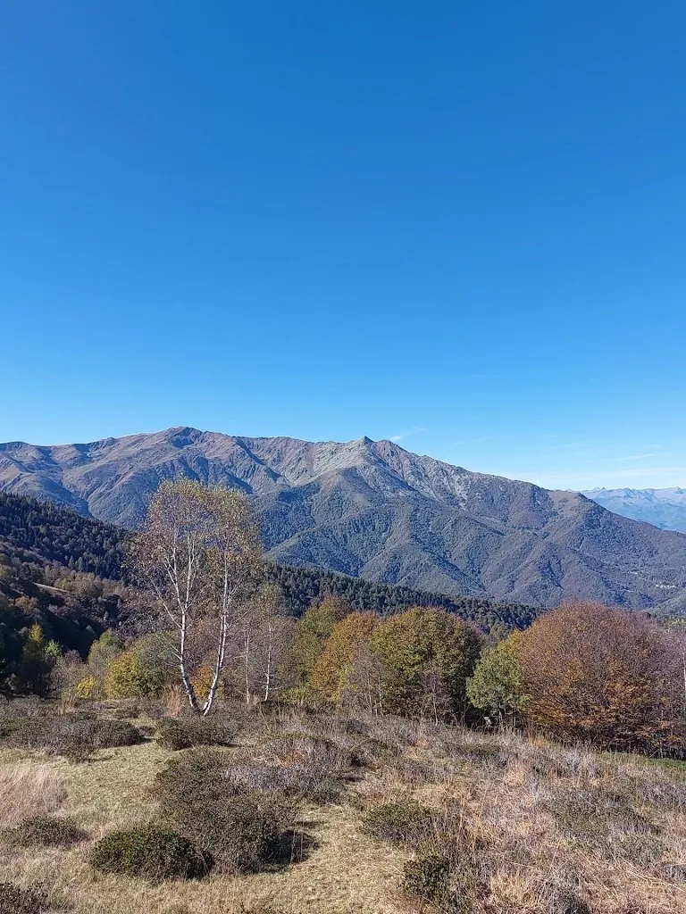 Andrea Bovolo_Baita Elica_Roccaforte Mondovì_recensione