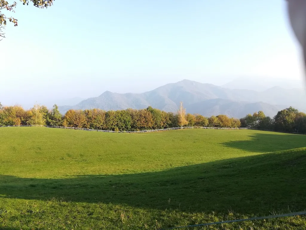 Candida Preti_Circolo Caporale_Roccaforte Mondovì_review