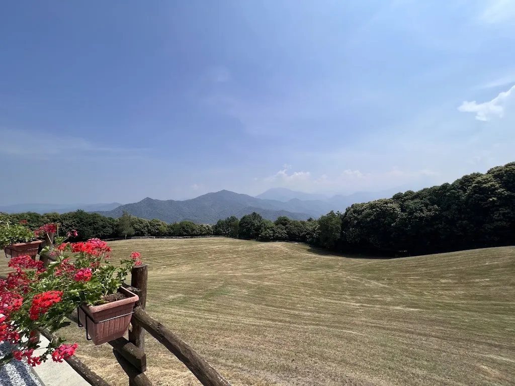 maria paola bessone_Circolo Caporale_Roccaforte Mondovì_review