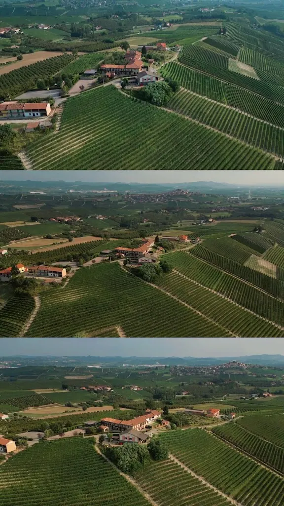 Igor Puscasu_Ristorante con Camere Il Vigneto di Roddi_Roddi_review