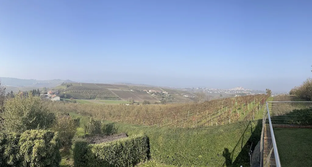 Kate Francis_Ristorante con Camere Il Vigneto di Roddi_Roddi_review