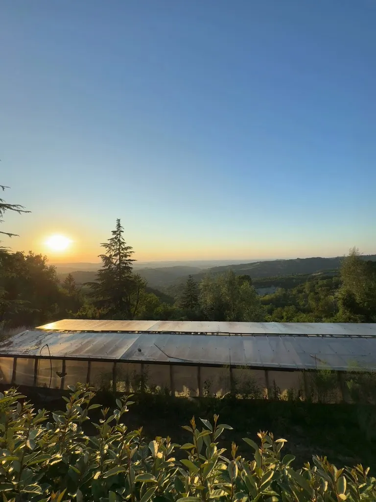 BUIUC GEORGE_Uri Sapori Condivisi_Roddino_review