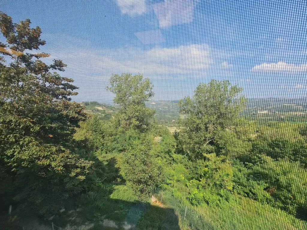 Mark Adams_Trattoria dell'Amicizia_Roddino_review