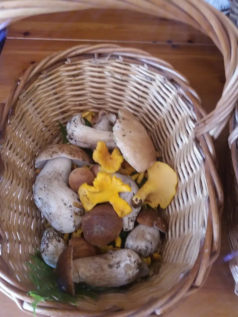 Menu_Koliba_Rorà_image_4