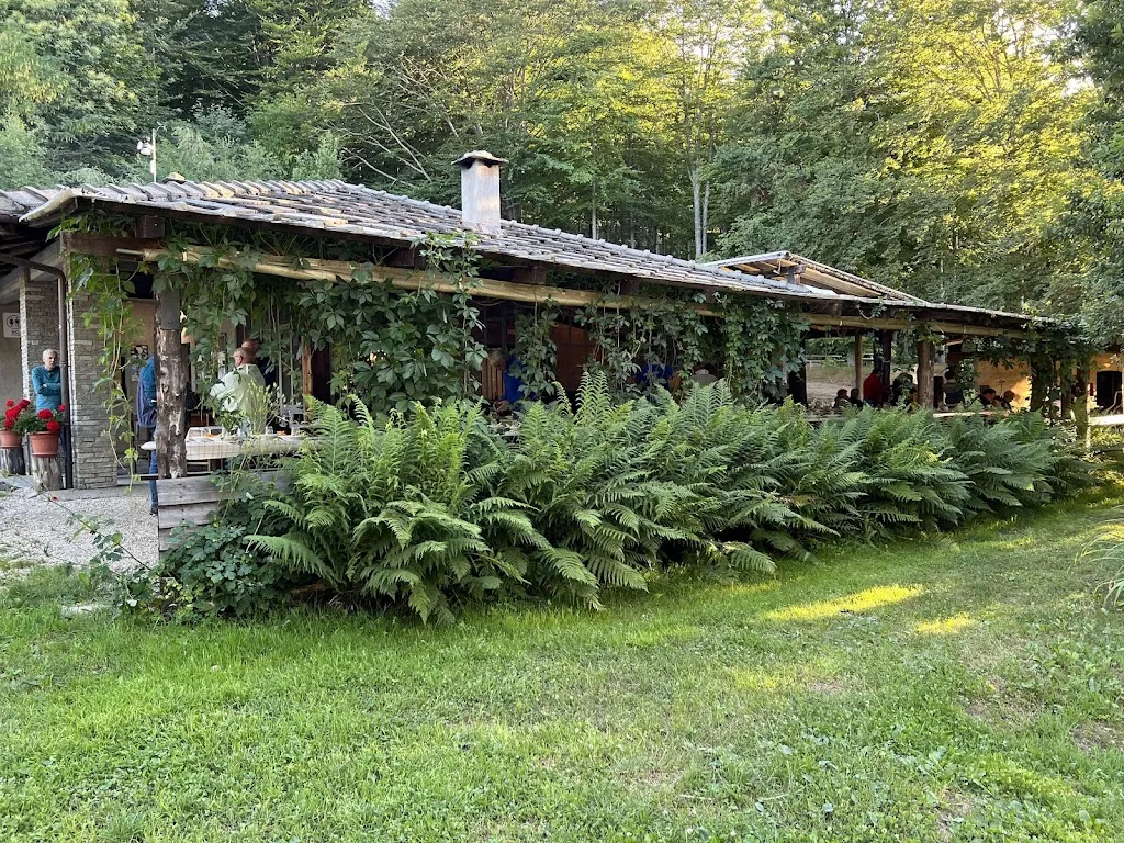 Scorpion C_Koliba_Rorà_review