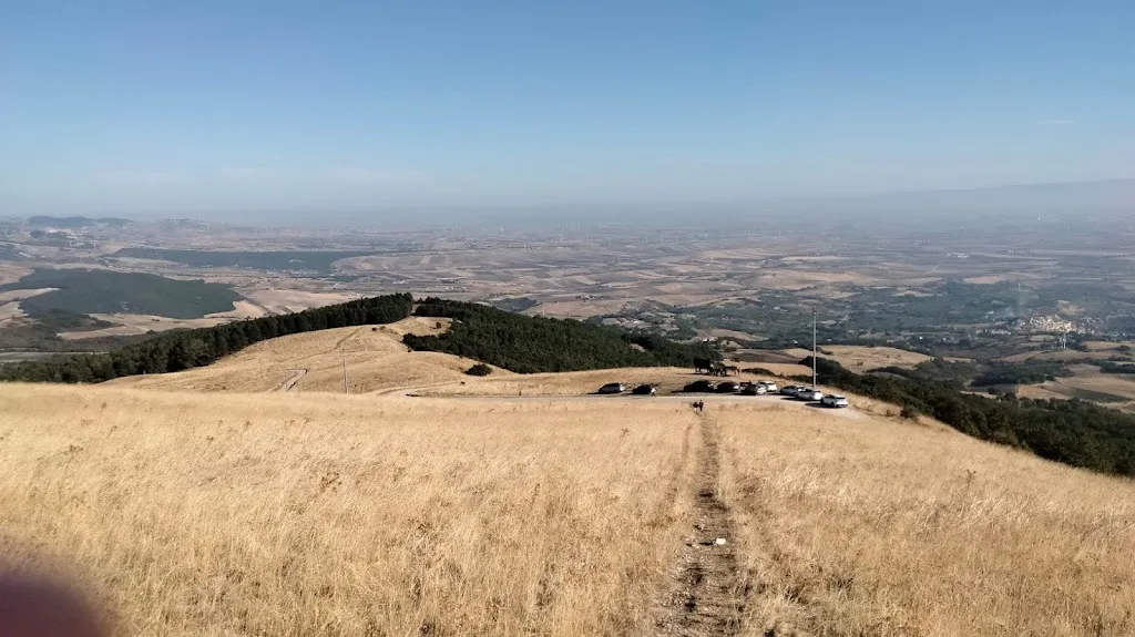 Ugo Lacerenza_Faeto_Faeto_review