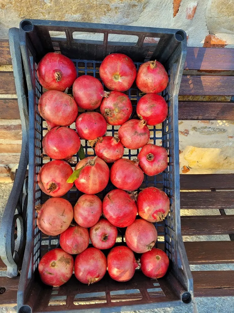 Menu_Ristorante - Agriturismo Sarmore_Salmour_image_1