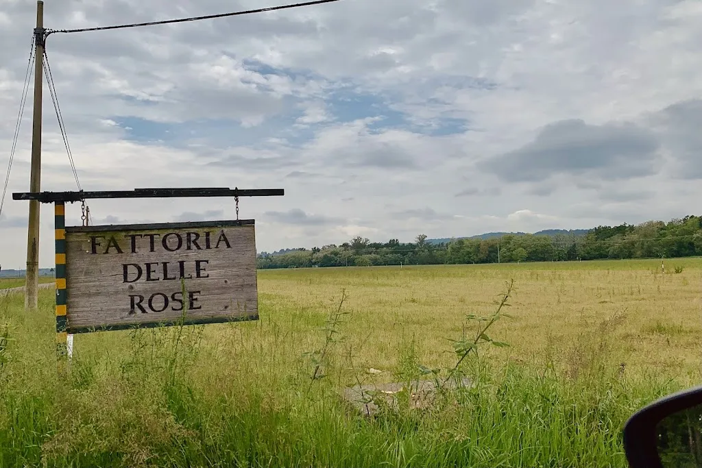 Michele Sparapano_FARM OF THE ROSES_Salussola_review