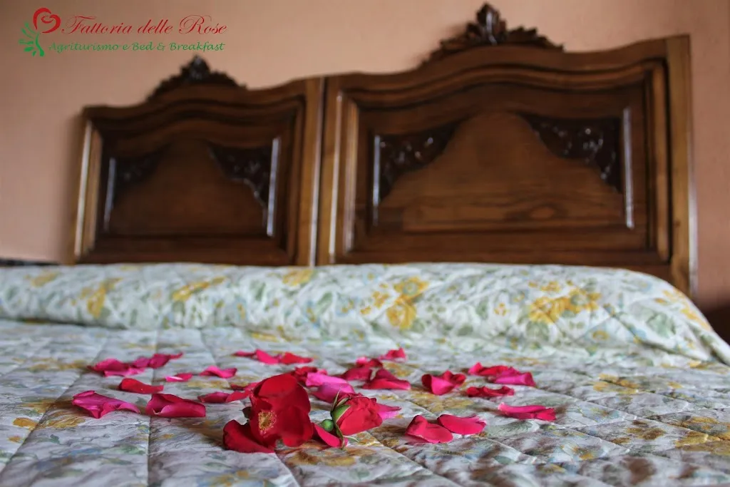 FARM OF THE ROSES_Salussola_slider_image_3